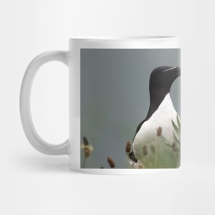 Razorbill on a cliff edge Mug